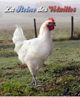 volailles de bresse